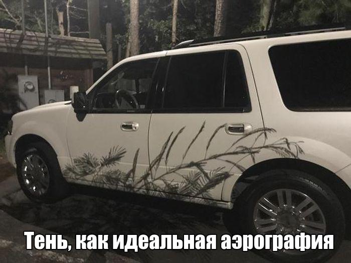 Свежие и веселые картинки с надписями для настроения (11 фото)