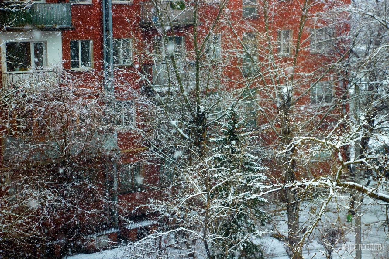похолодание 535 536. гололёд. потепление или похолодание следует ожидать в омске. жители москвы зимой. новосибирск -50 градусов в области.