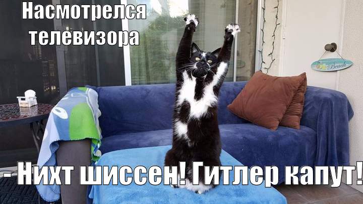 Смешные эксклюзивные картинки Смешные эксклюзивные картинки картинки,прикол,юмор