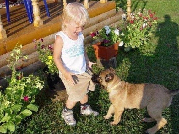 Забавная подборка дня Забавная подборка дня