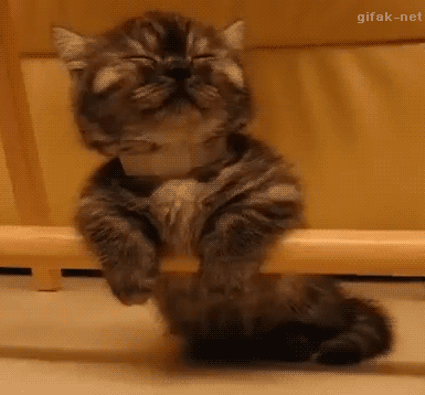 Гифки из нашей жизни: неудачные моменты и позитивные ситуации Гифки из нашей жизни: неудачные моменты и позитивные ситуации