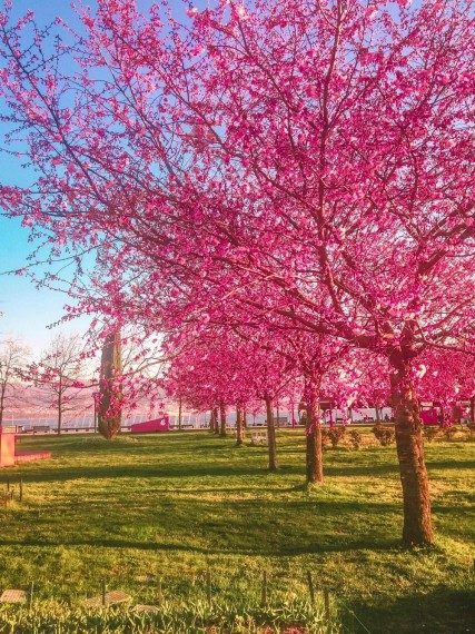 Позитив сплошь и рядом Позитив сплошь и рядом