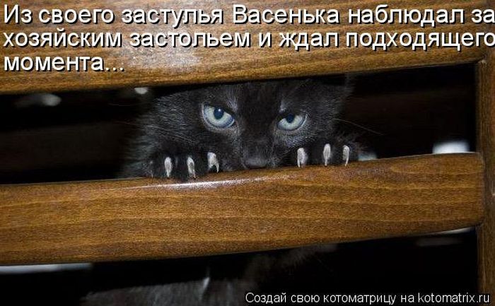 Мысли вслух :)