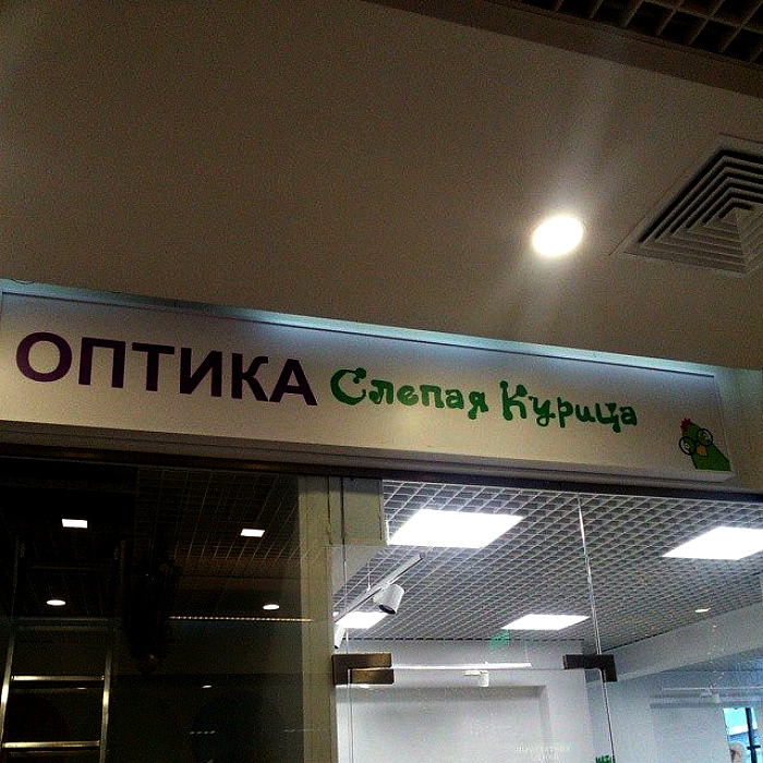 Если у вас есть совесть, значит, наверняка нет денег!