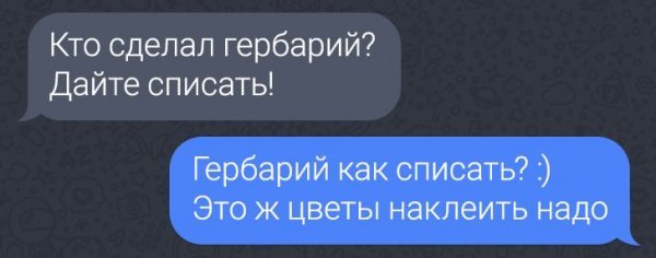 ПОДБОРКА ЗАБАВНЫХ ПЕРЕПИСОК В РОДИТЕЛЬСКИХ ЧАТАХ история,прикол,юмор