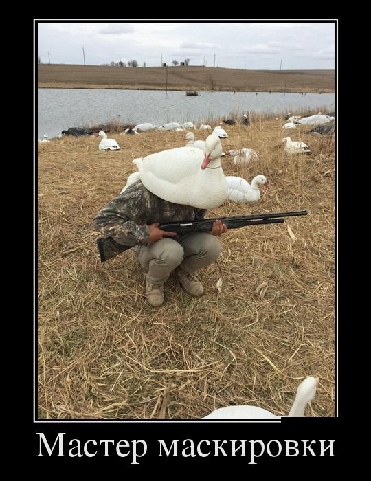 Подборка черноватого юмора в демотиваторах 