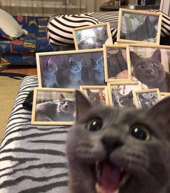 Подборка смешных картинок Подборка смешных картинок смешные картинки,фото-приколы,юмор