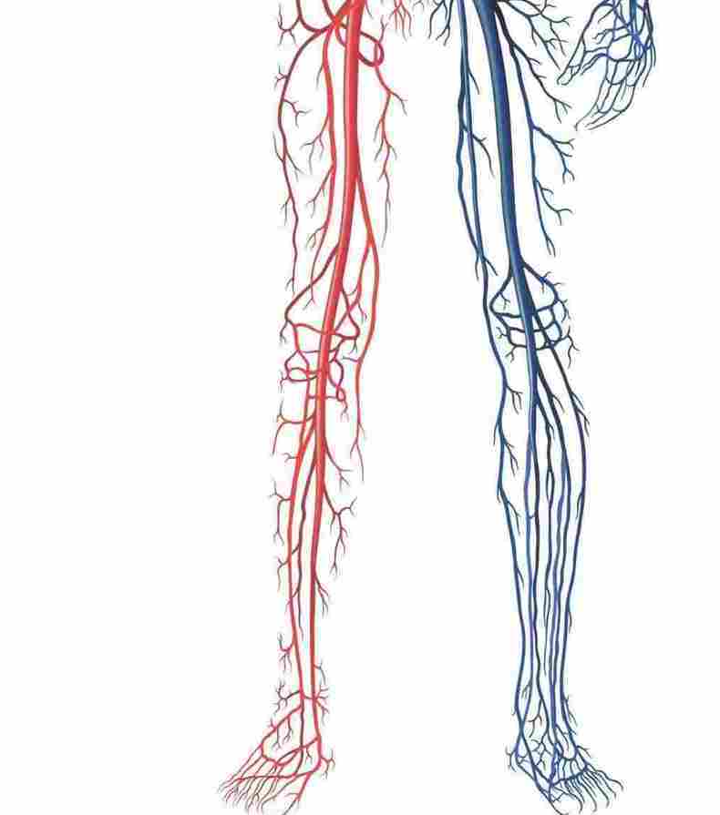3 простых упражнения от остеопата для снятия отеков ног причины, может, крови, нижних, кровь, конечностей, отечность, просвете, капилляров, давления, белка, отечности, могут, ногах, отёчности, когда, органов, внутренних, венозные, травма