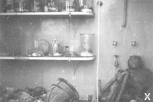 Погром в лаборатории Воронова, 1940 г...