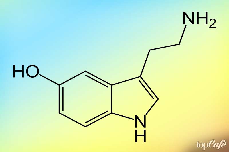 Химическая Формула Серотонина