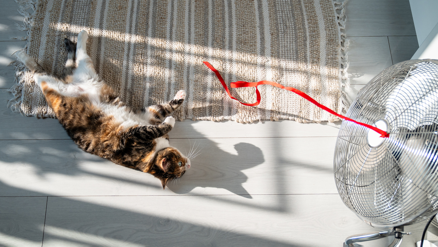 Почему немцы проветривают жилье в любую погоду проветривание, помогает, поддерживать, минут, несколько, практика, открыть, окном, чтобы, Германии, каждый, имеет, который, методов, проверенных, Существует, правилами, собственными, систему, превратилось