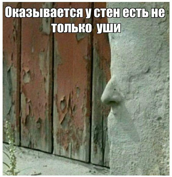 Подборка лучших картинок Подборка лучших картинок