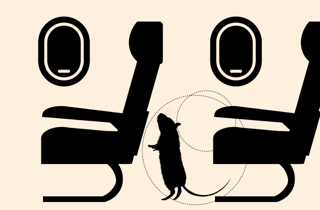 мышь, самолет