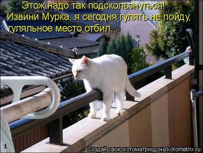 Мысли вслух :)