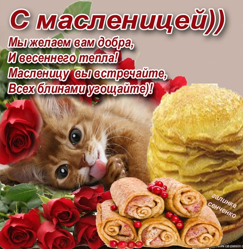 Поздравления с масленицей 2017 открытки