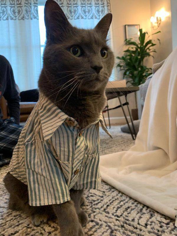 Веселые картинки и забавные фото с надписью из нашей жизни Веселые картинки и забавные фото с надписью из нашей жизни картинки с надписями,приколы,смешные комментарии,юмор