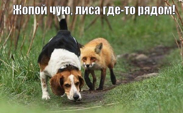 Смешные эксклюзивные картинки Смешные эксклюзивные картинки картинки,прикол,юмор