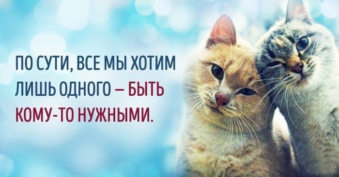 https://mtdata.ru/u8/photoD129/20699000750-0/original.jpg