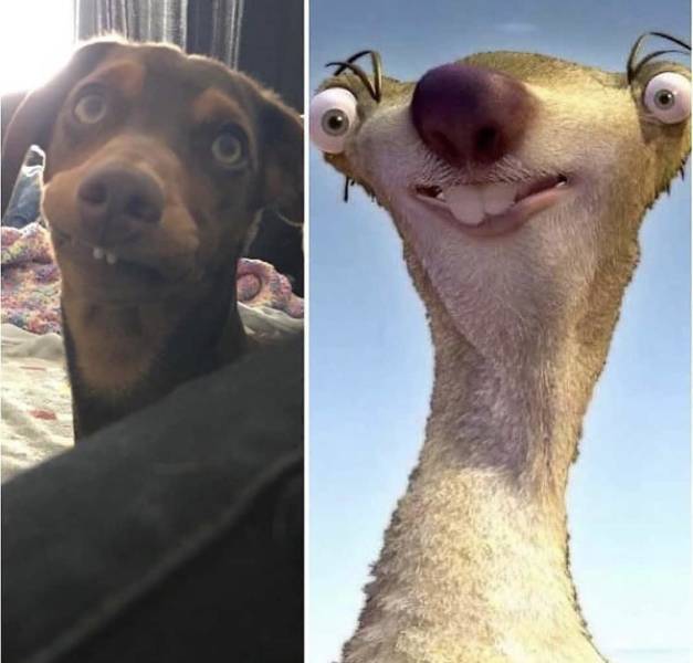 Веселые картинки и забавные фото с надписью из нашей жизни Веселые картинки и забавные фото с надписью из нашей жизни картинки с надписями,приколы,смешные комментарии,юмор