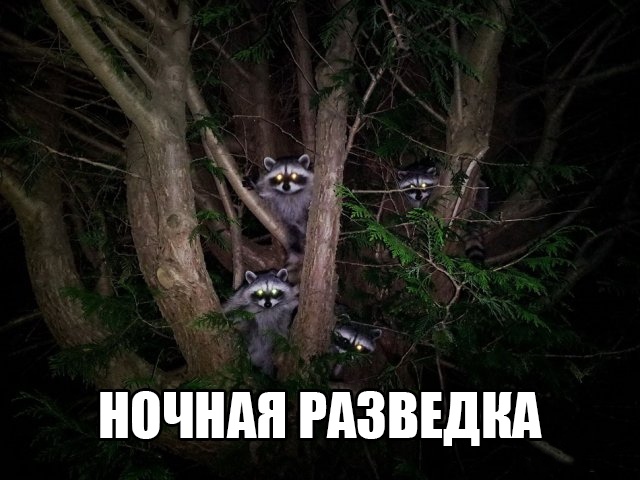 Свежая подборка анекдотов, шуточек и забавных историй – для вас Свежая подборка анекдотов, шуточек и забавных историй – для вас