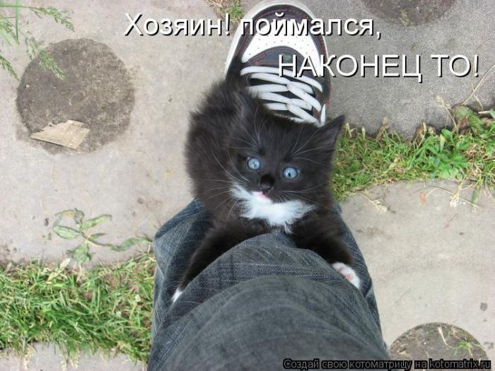 Мысли вслух :)