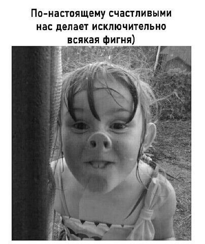 Задорные шутки с сарказмом 