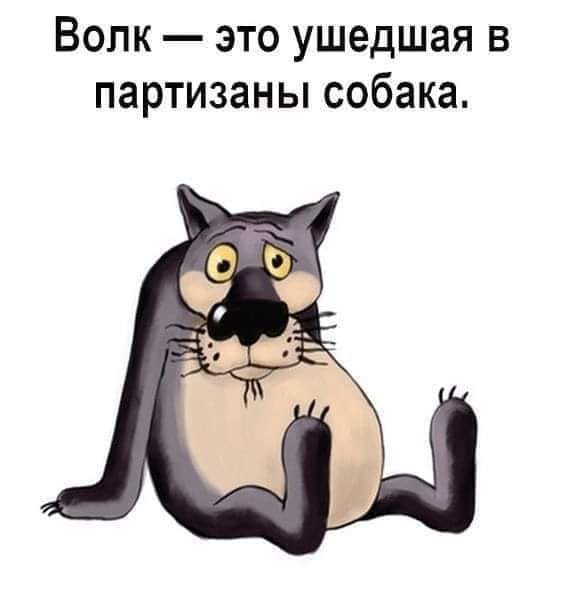 Вот когда я женился - помню, где - помню, даже на ком - помню... Весёлые,прикольные и забавные фотки и картинки,А так же анекдоты и приятное общение