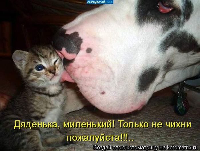 Мысли вслух :)