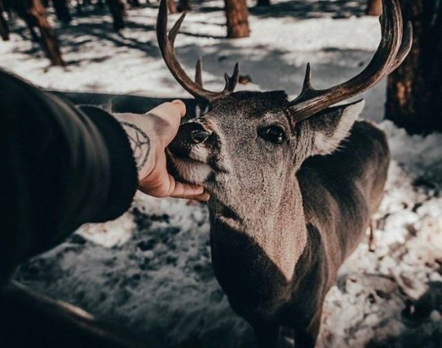Очень душевные фото Очень душевные фото Фотография