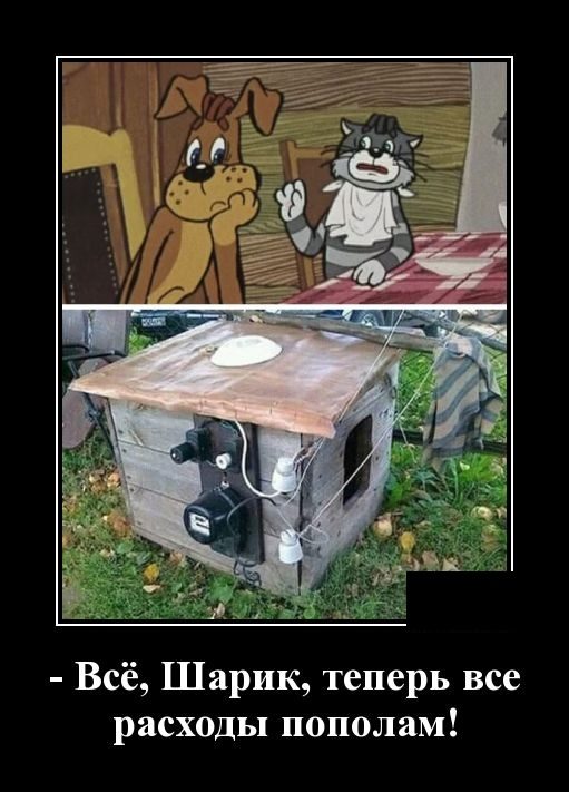 Демотиваторы. Убойные картинки! Демотиваторы. Убойные картинки! демотиваторы