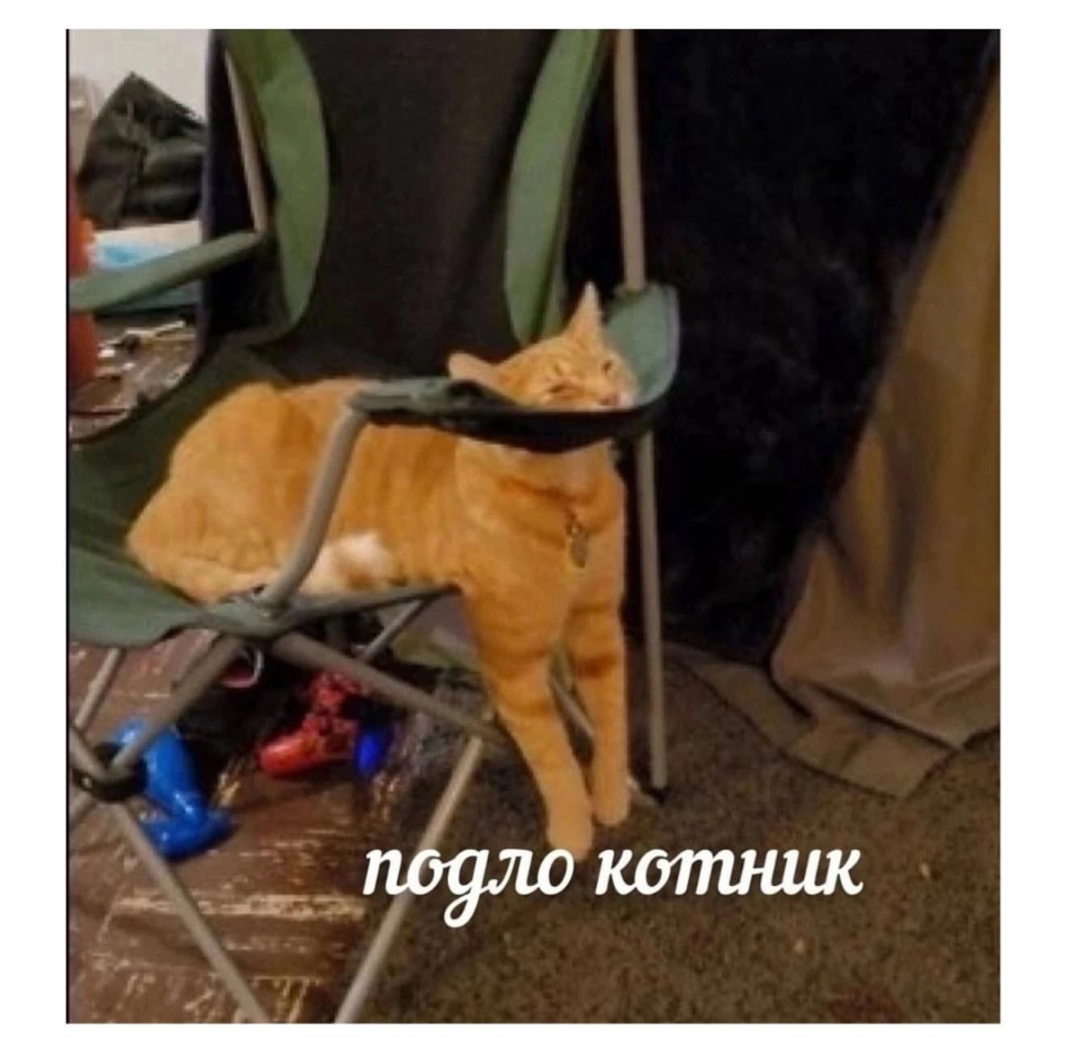 Интернет мемы на утро пятницы и Старая Зеландия 