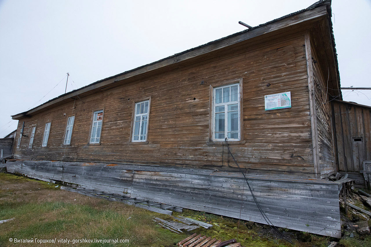 Дикая природа Таймыра моржей, лежбища, залива, время, берегу, моржи, горловине, берега, остатки, станции, лежбище, медведя, одной, спали, интересный, несколько, постройки, Таймыра», удалился, направлении