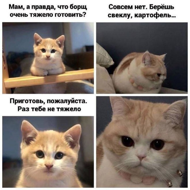 Юмор для тех, кто уже повзрослел и понял, что «маркетплейс» — это ловушка для зарплаты Юмор для тех, кто уже повзрослел и понял, что «маркетплейс» — это ловушка для зарплаты