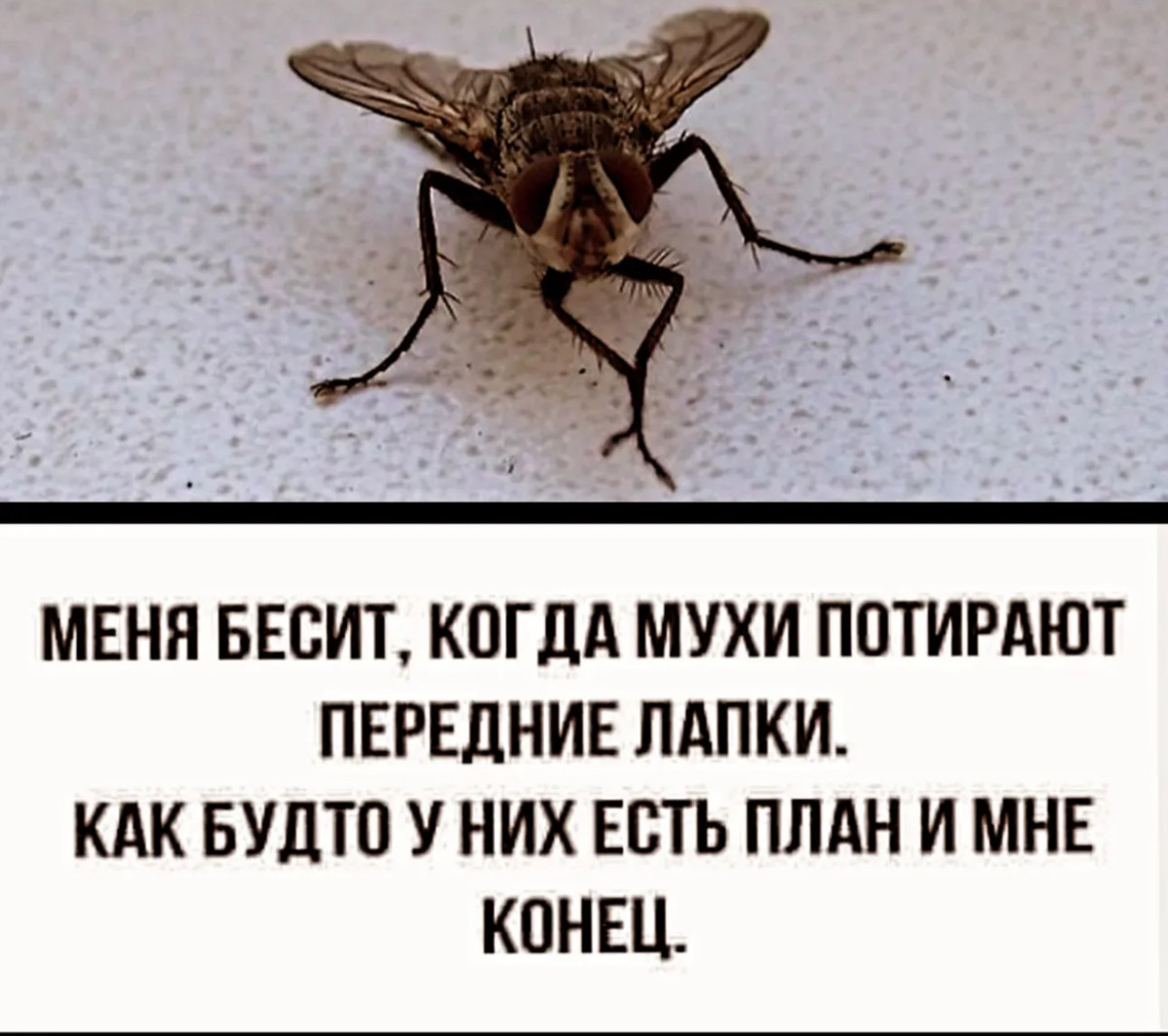 Курьер - это не солидно. Представляйтесь как топ-топ менеджер Курьер - это не солидно. Представляйтесь как топ-топ менеджер
