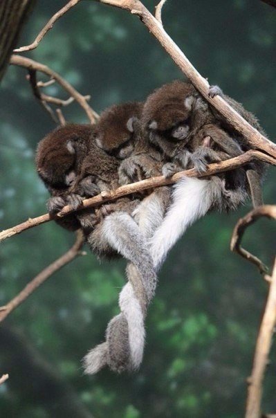 Забавные фотографии и картинки из нашей жизни Смешные картинки и фото приколы