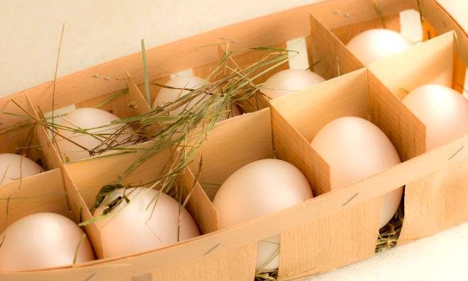 Как хранить яйца без холодильника