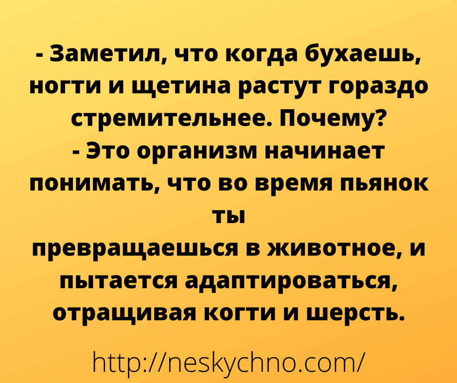 Подборка анекдотов для позитивного настроения 