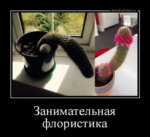 Новые демотиваторы для всех (25 шт)