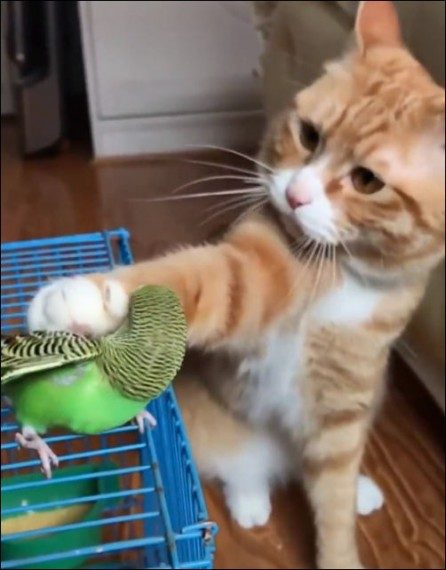 Забавная подборка дня Забавная подборка дня