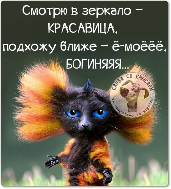 Смешные картинки про позитив с надписями, открытки