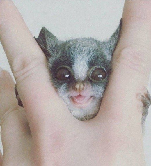 Позитив сплошь и рядом Позитив сплошь и рядом