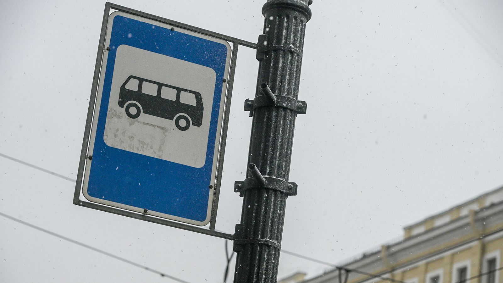 ДТП на улице Софьи Ковалевской спровоцировало пробку из автобусов и троллейбусов