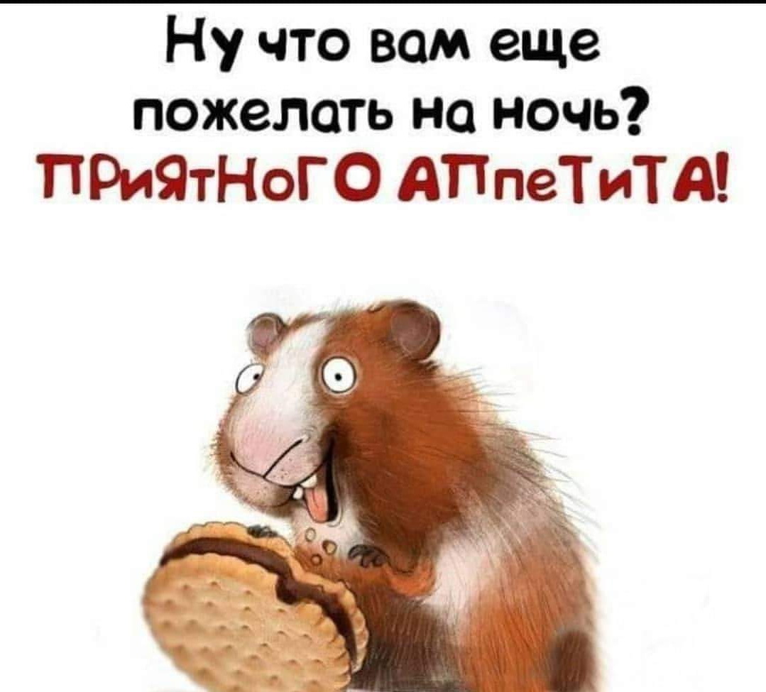 Отличная подборка яркого юмора и всяких забавностей. Чудесного всем настроения! Отличная подборка яркого юмора и всяких забавностей. Чудесного всем настроения!