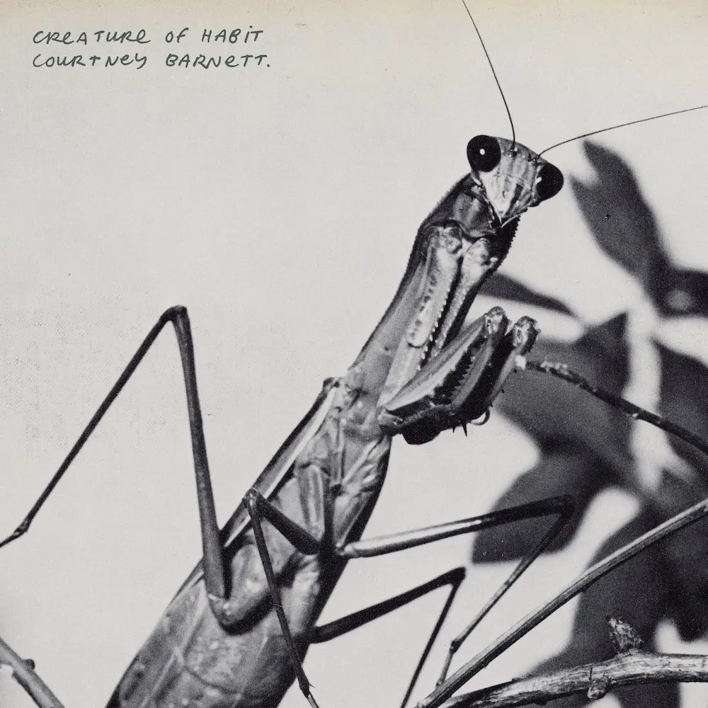 8 альбомов, которые вам нужно услышать на этой недели альбоме, более, песен, когда, который, Barnett, которые, время, альбома, Робин, сочетаются, выхода, Misch, Elmiene, Fcukers, сочетании, звучит, Snail, привычки, также