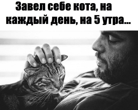 Когда откроется портал 