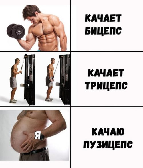 Весёлые фотомемы Весёлые фотомемы