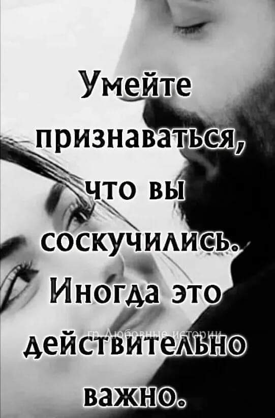 Подборка лучших картинок Подборка лучших картинок