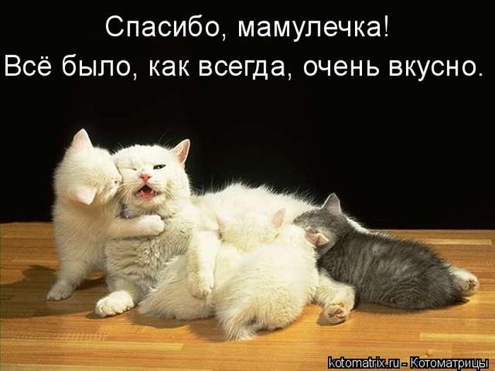 Мысли вслух :)