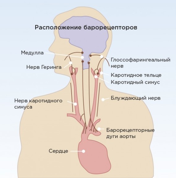 Почему болят суставы при смене погоды? изменения, суставы, хрящевой, погоды, начинают, суставов, ткань, подобные, состояния, давление, погоде, суставах, воспаленные, может, сустав, различных, заболеваний, хрящевая, нервных, ткани