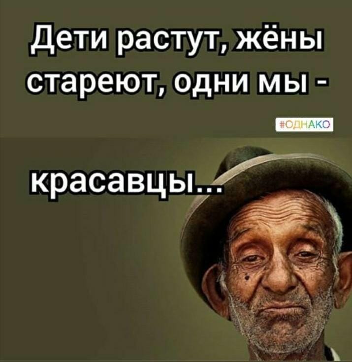 Молодой человек говорит отцу своей подружки:  - Конечно, я понимаю, что это только формальность... человек, смотрит, девушка, спрашивает, говорит, только, формальность, больше, случай—, Скажи, корова, пользу, лошадка, соседкаПроснулась, трезвую, голову, рассадила, встала, выиграл…, местам